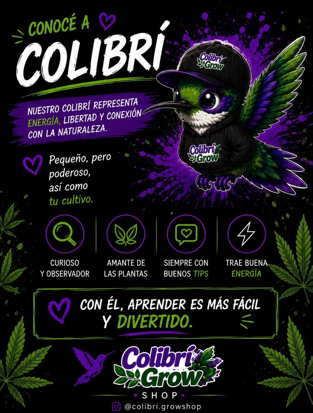 Presentación original de Coli, la mascota de Colibrí Grow
